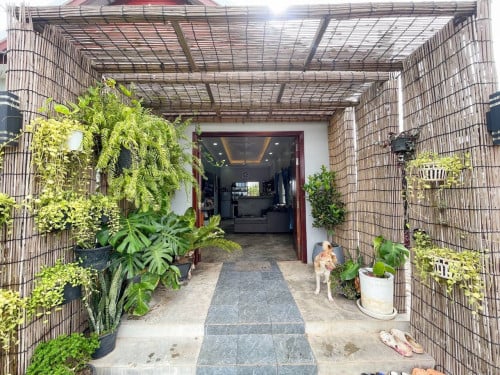 The princess home for Rent & Sell 🏡🌴🌴