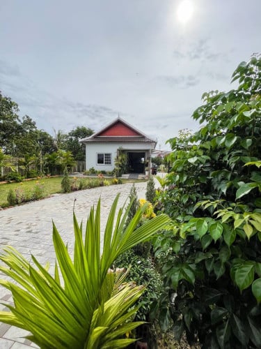 The princess home for Rent & Sell 🏡🌴🌴