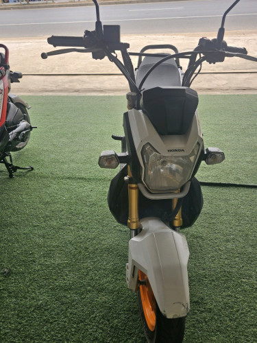 zoomer x2017