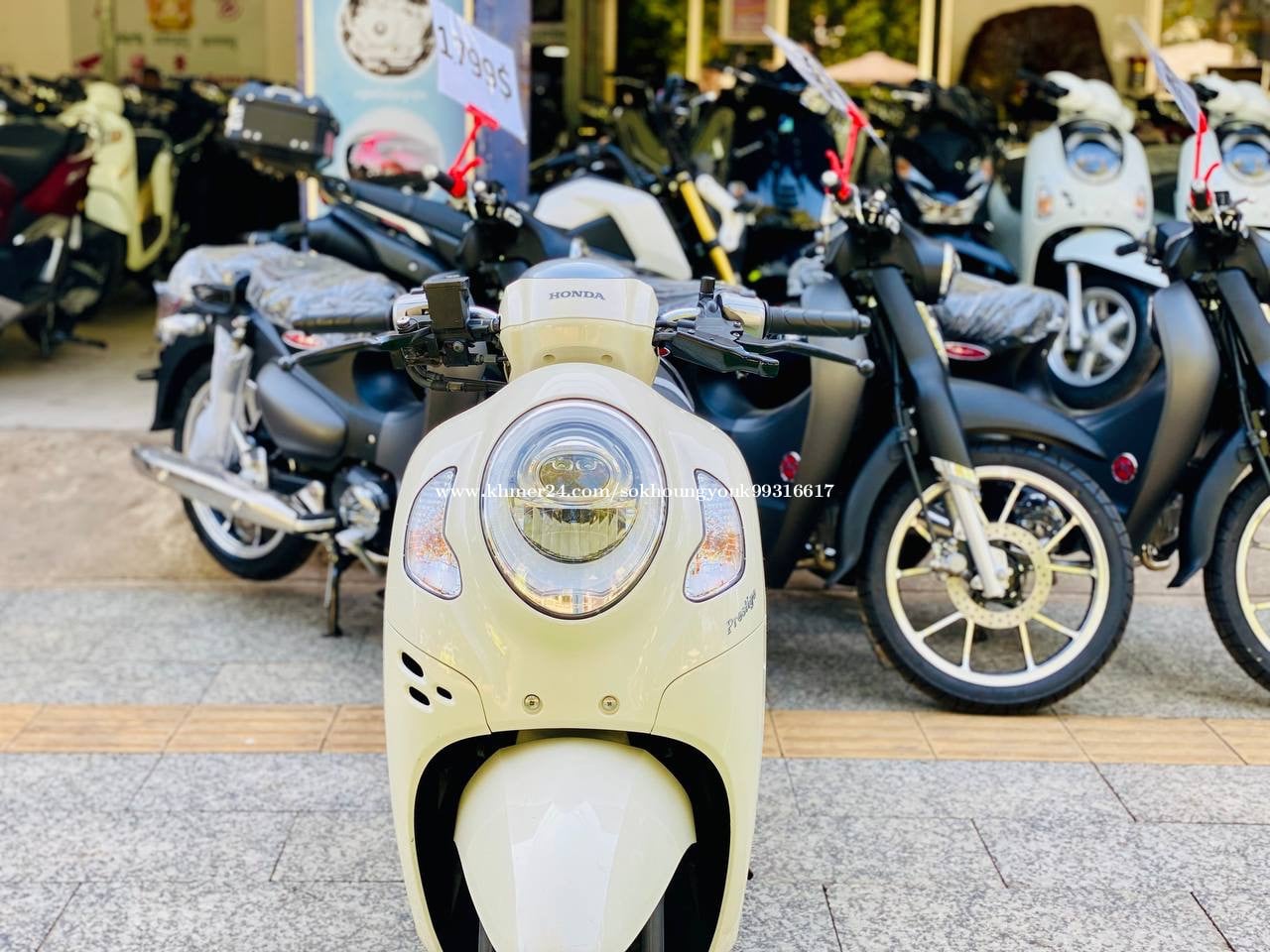 Scoopy 023 ក្រដាសពន្ធ តម្លៃធូរ