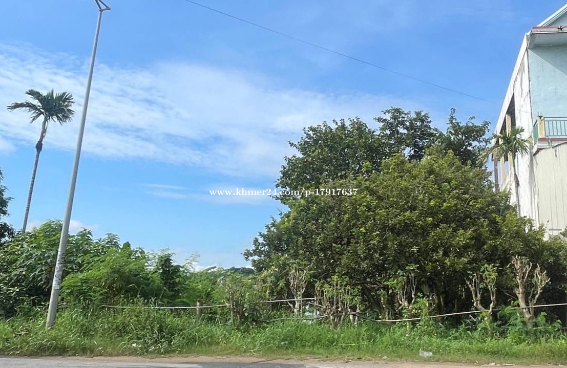 ដីលក់ / ជួល, Land for sale or rent