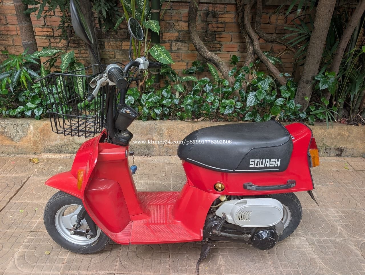 Honda squash