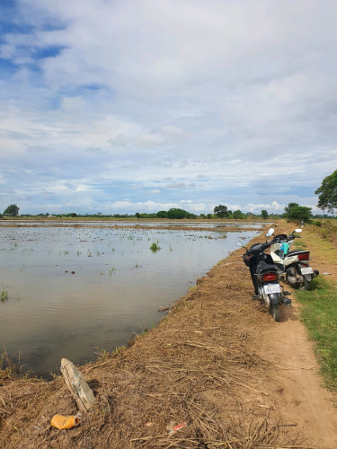 ដីលក់