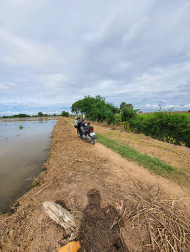 ដីលក់