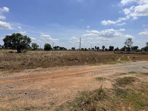 ដីលក់
