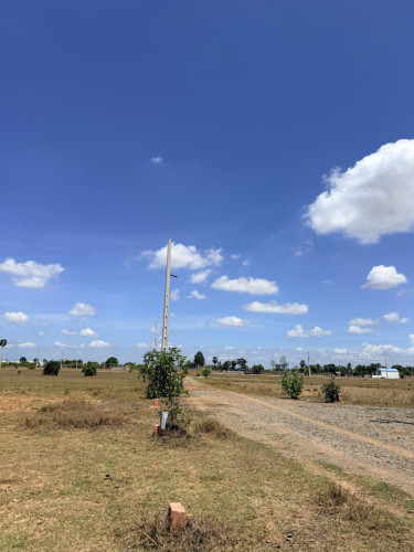 ដីលក់