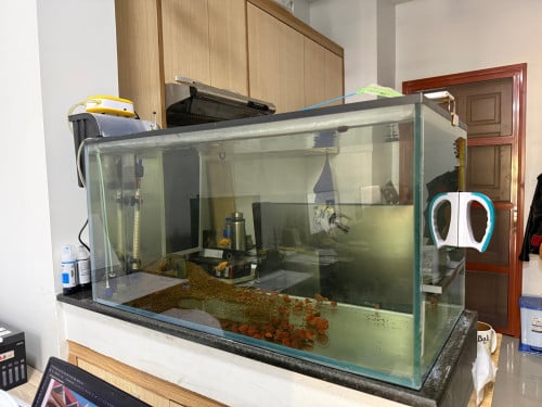 លក់ទូរត្រី Fish Tank for sale សៀមរាប
