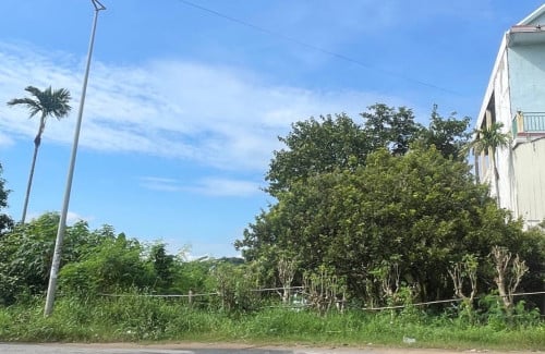 ដីលក់ / ជួល, Land for sale or rent