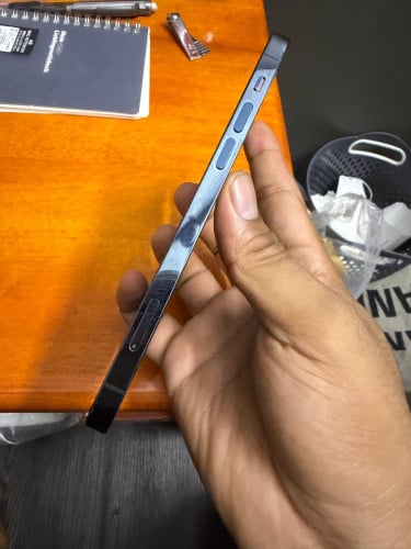 12 pro