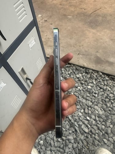 12promax