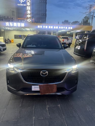 2025年新车🚗