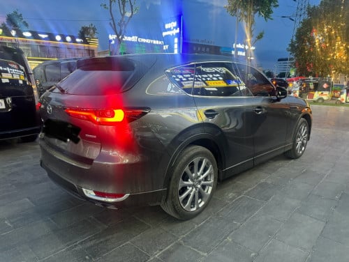 2025年新车🚗
