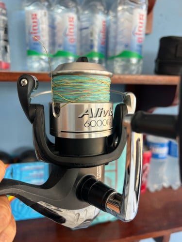 40$ក្រុងកំពតក្បែររង្វង់មូលទុរេន