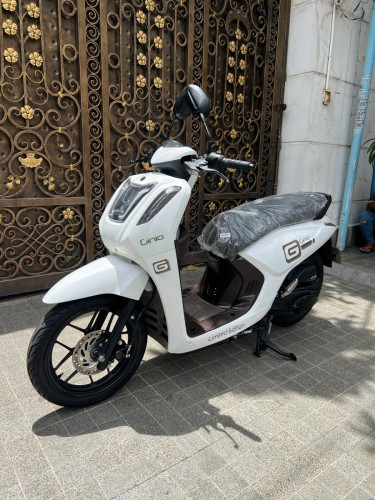 GTR Ginio 022 មួយទឹក