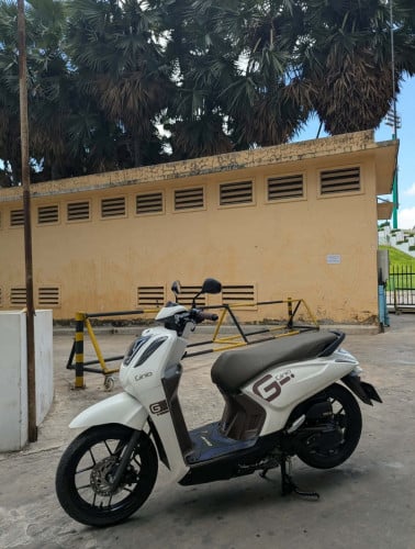GTR Ginio