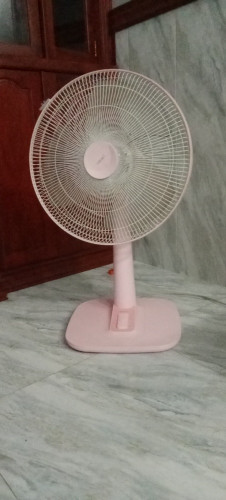 Hatari Fan