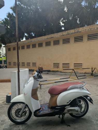 Honda Scoopy