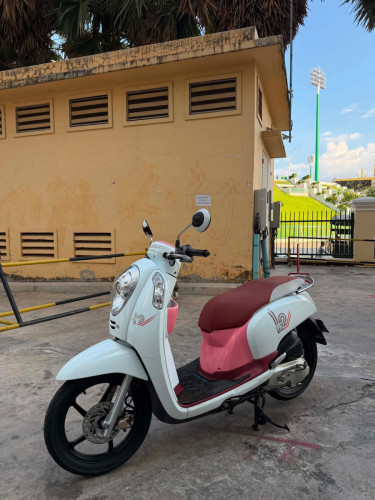 Honda Scoopy