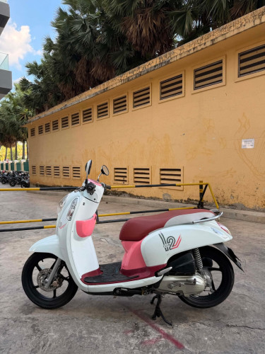 Honda Scoopy
