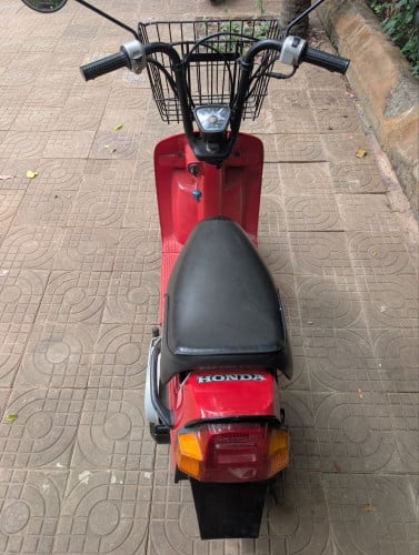 Honda squash