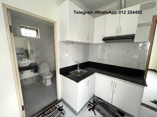 Nice Fully Furnished Elevator Apartment for Rent