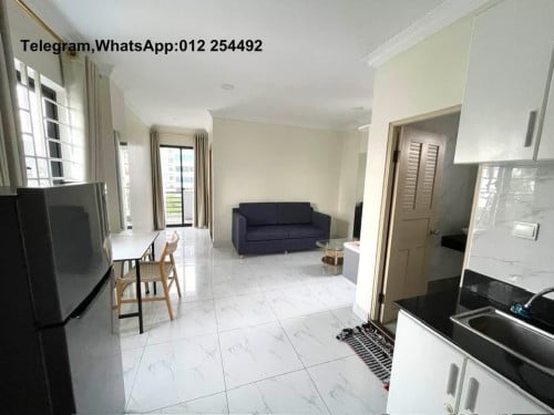 Nice Fully Furnished Elevator Apartment for Rent