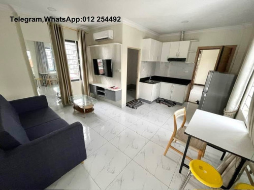 Nice Fully Furnished Elevator Apartment for Rent
