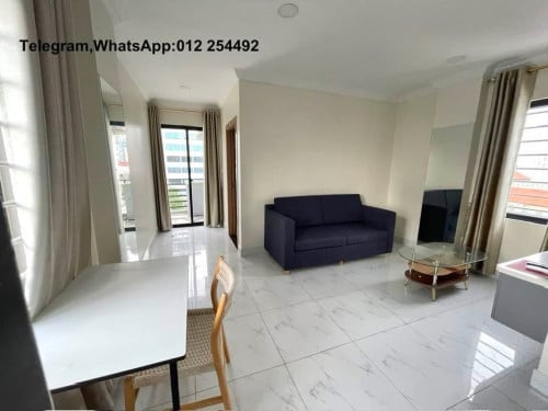 Nice Fully Furnished Elevator Apartment for Rent