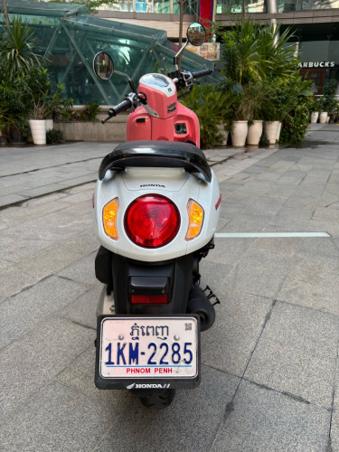 Scoopy 2024