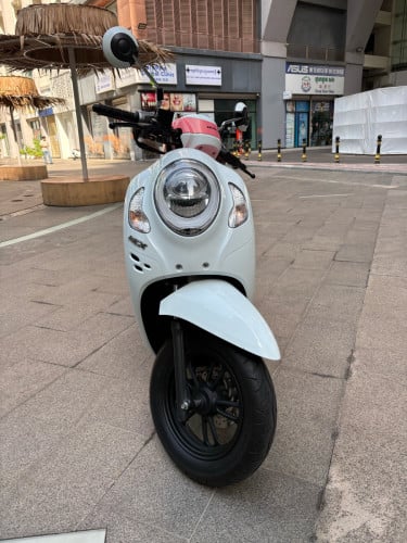 Scoopy 2024