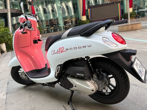Scoopy 2024