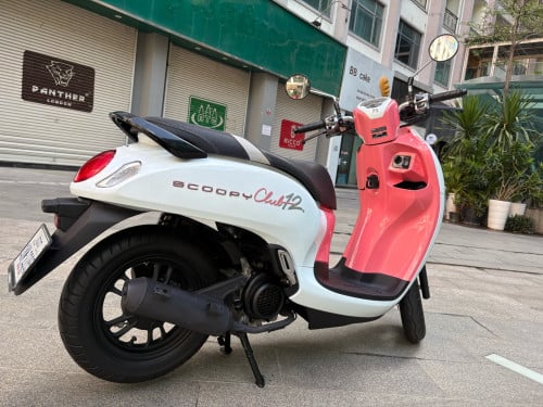 Scoopy 2024