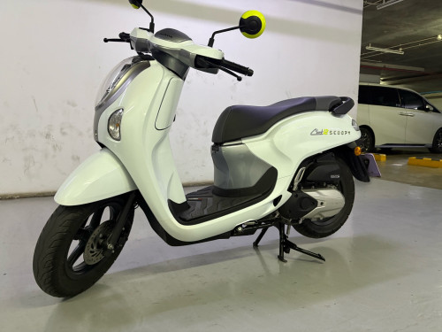 Scoopy 2025