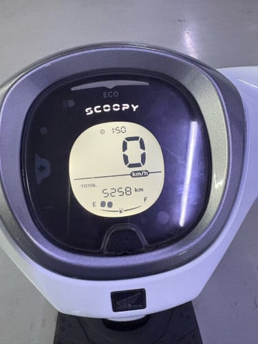 Scoopy 2025