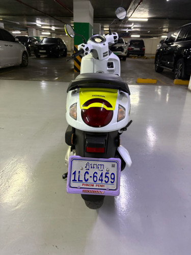Scoopy 2025
