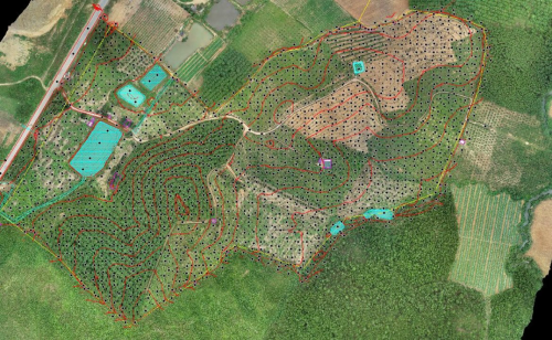 Survey មានទទួលការងារវាស់វែង ២៥ខេត្តក្រុងទទួលការងាររួមមាន៖🌳