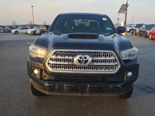 Tacoma 017 TRD  កាប់ពីតាស់