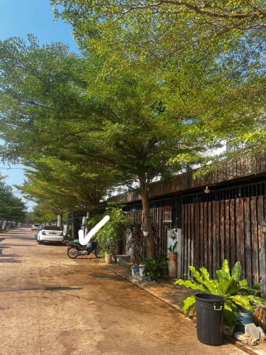 Town House for rent in a quiet location / ផ្ទះជួលក្នុងទីប្រជុំជន ស្ថិតនៅទីតាំងស្ងប់ស្ងាត់