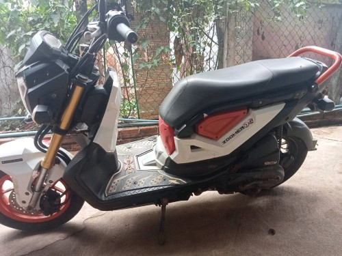 Zoomer-X លក់ប្រញាប់