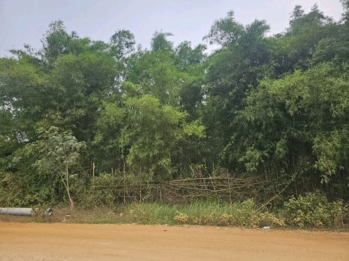 ដីចំការ