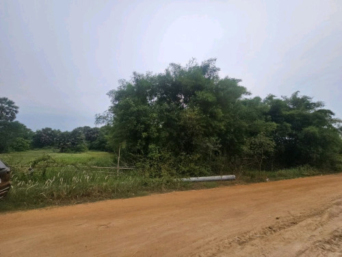 ដីចំការ