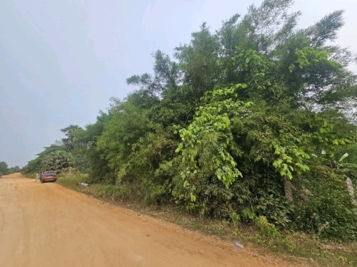 ដីចំការ