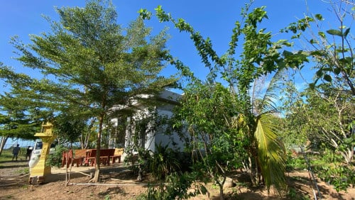 ផ្ទះលក់