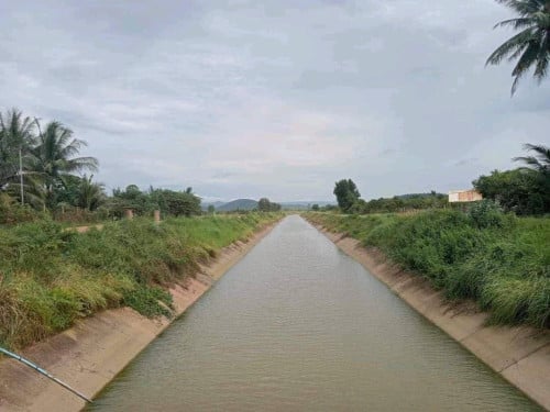 ជាប់ប្រឡាយជាយក្រុងកំពត
