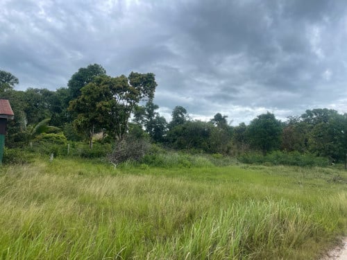 ដីចំការលក់