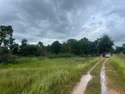 ដីចំការលក់