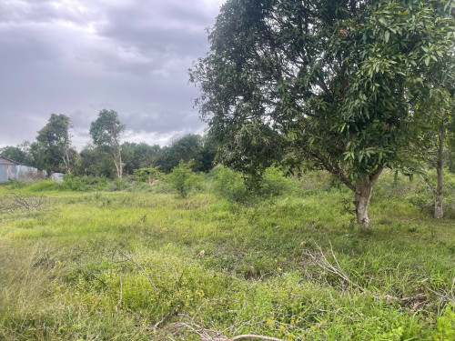 ដីចំការលក់
