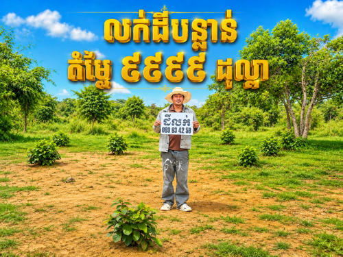 ដីចំការលំហែលលក់បន្ទាន់ក្រោមទីផ្សារ