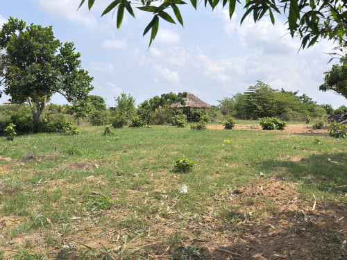 ដីចំការលំហែលលក់បន្ទាន់ក្រោមទីផ្សារ