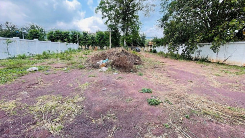 ដីសម្រាប់រីសត នៅទឹកឈូ